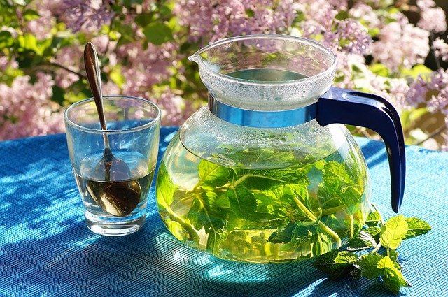 पुदीने की चाय से होने वाले फ़ायदे और नुकसान – Benefits and disadvantages of mint tea